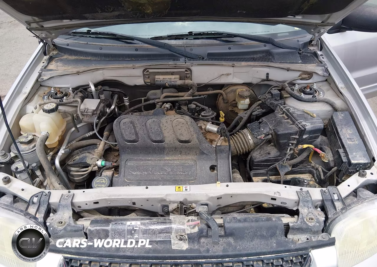 2004 Ford Escape Limited VIN:1FMCU04124KB74484 - 10
