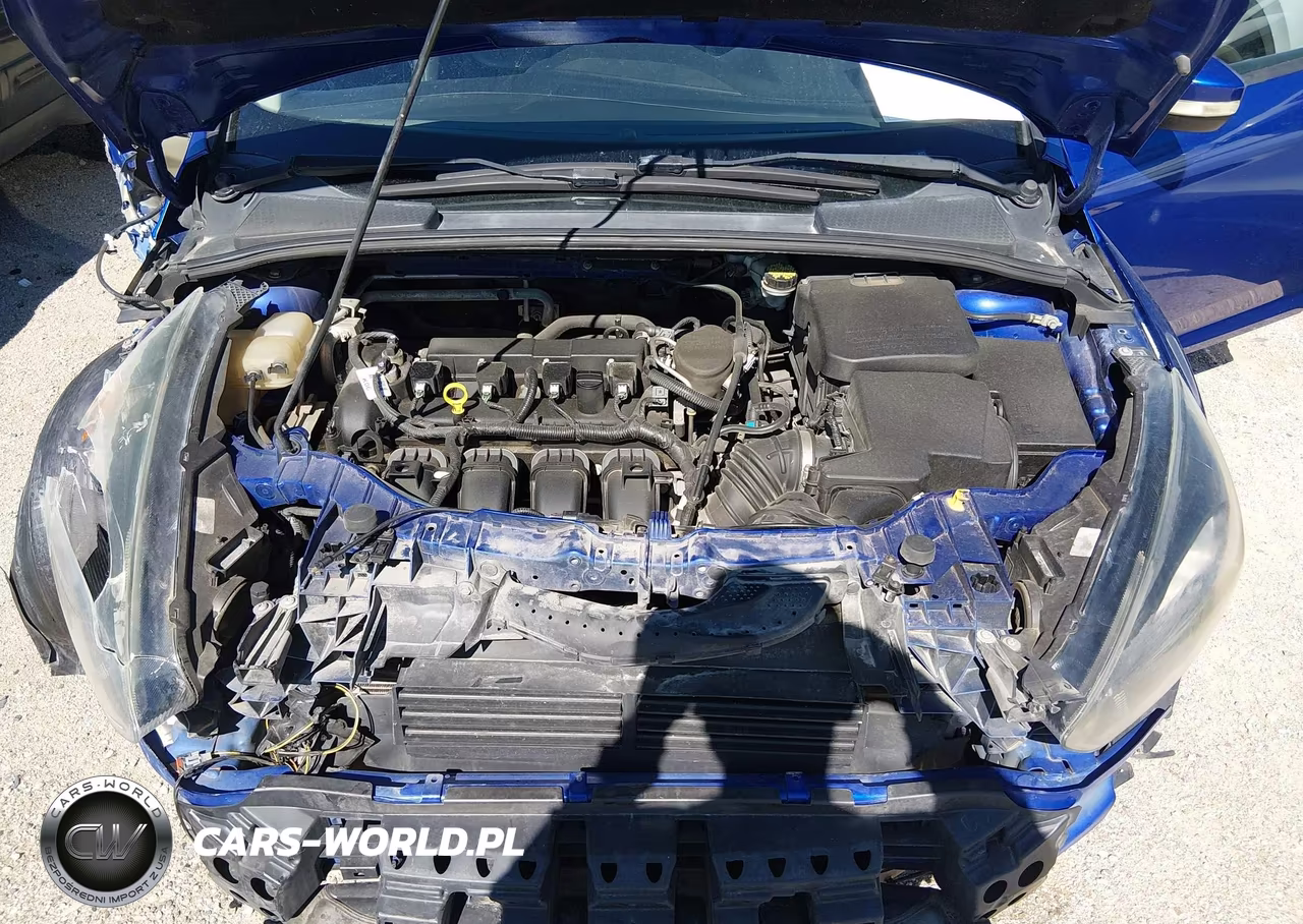 2015 Ford Focus Se VIN:1FADP3F25FL342189 - 10