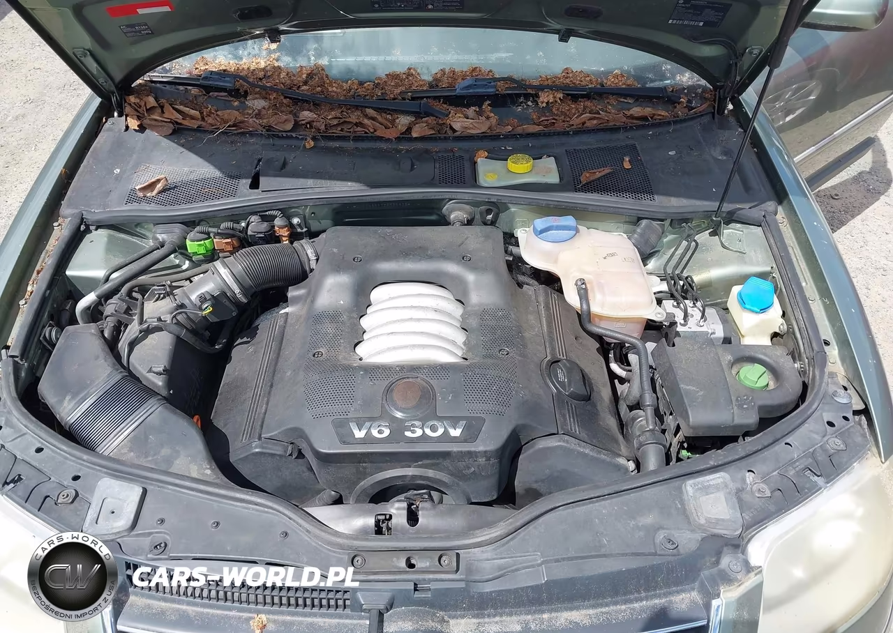 2002 Volkswagen Passat Glx VIN:WVWRH63B72P135826 - 10
