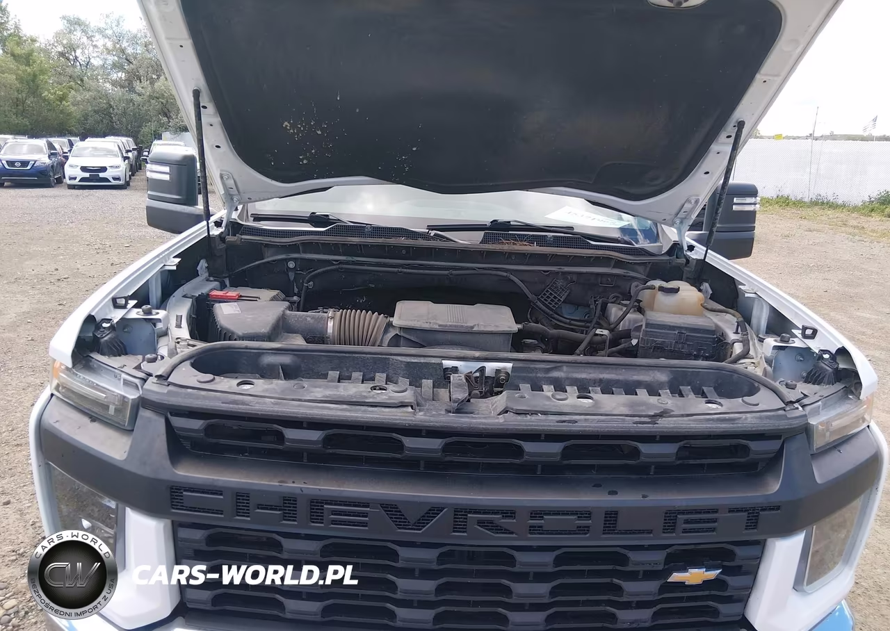 2020 Chevrolet Silverado 2500Hd 4Wd Long Bed Wt VIN:1GC5YLE72LF304972 - 10