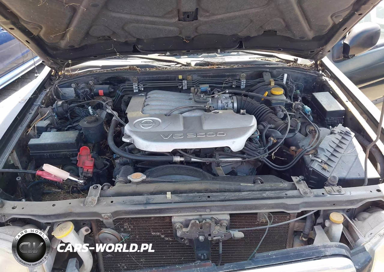 2002 Nissan Pathfinder VIN:JN8DR09X92W654944 - 10