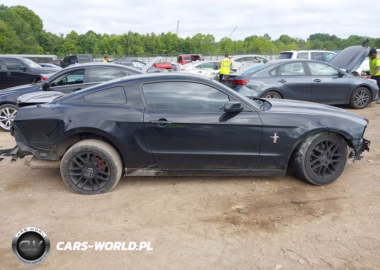 2014 Ford Mustang V6 Premium VIN:1ZVBP8AMXE5253337 - 13