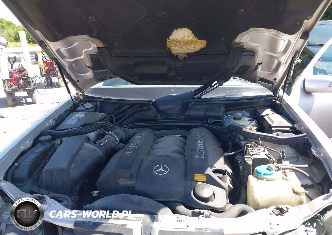 2002 Mercedes-Benz E 430 4M-4M Special Edition VIN:WDBJF83JX2X069650 - 10