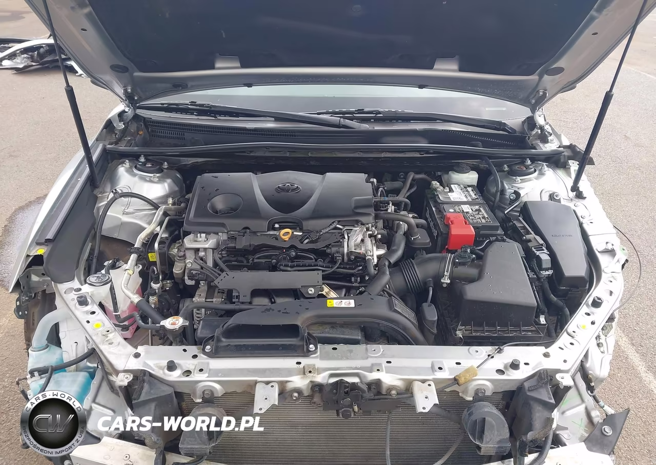2019 Toyota Camry Se VIN:4T1B11HK6KU766243 - 10