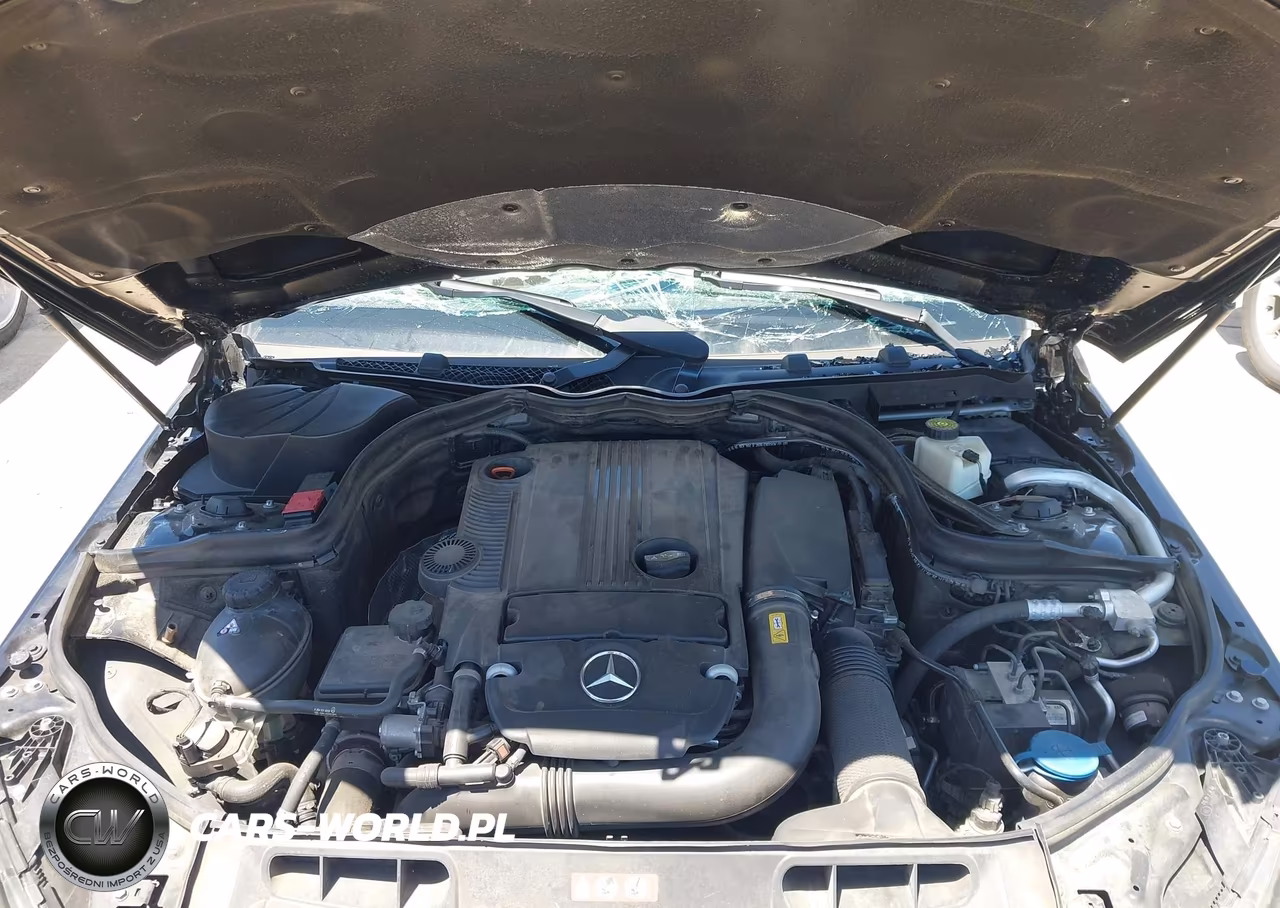 2012 Mercedes-Benz C 250 Luxury-Sport VIN:WDDGF4HB3CA643344 - 10