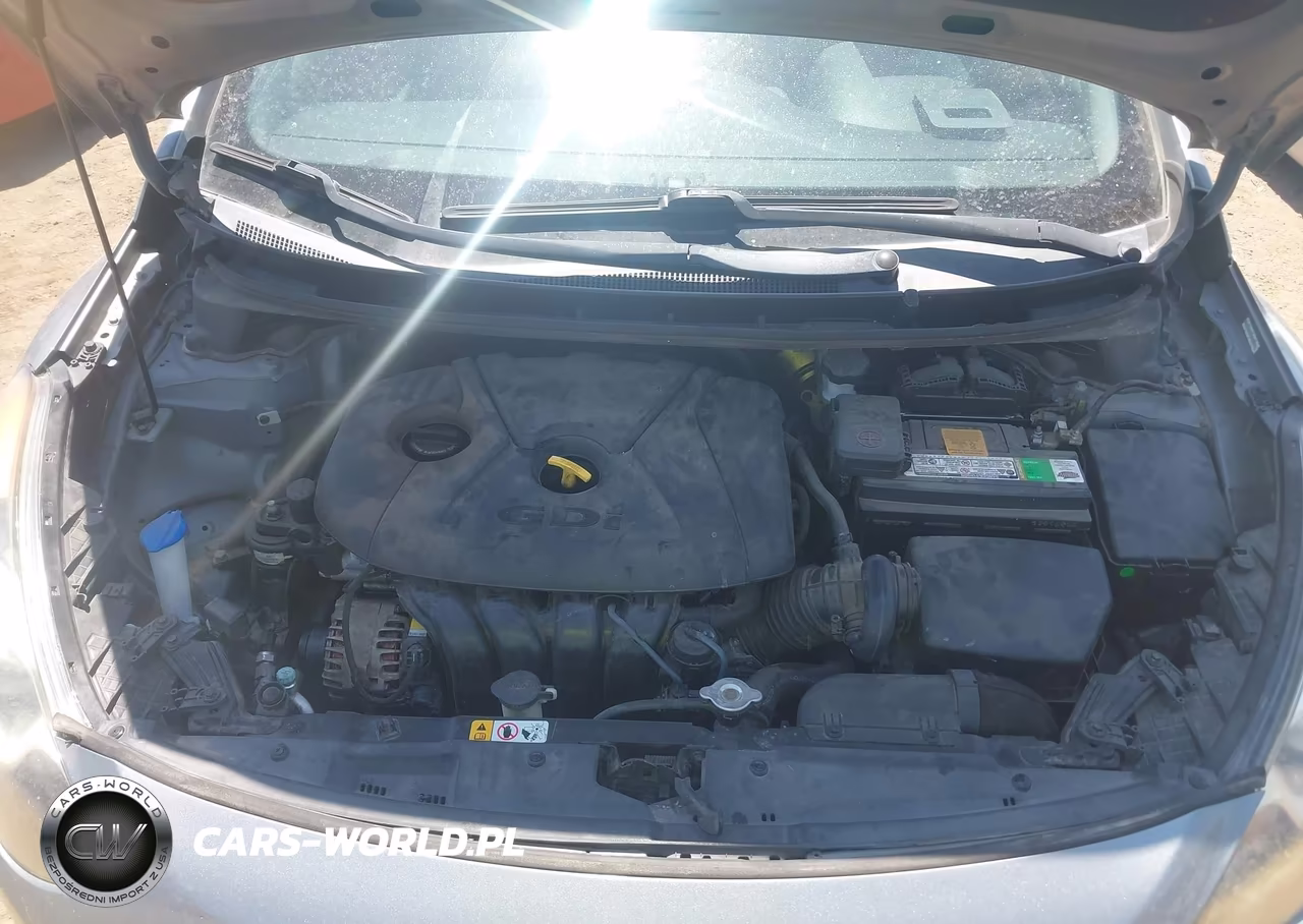 2014 Hyundai Elantra Gt VIN:KMHD35LH3EU184739 - 10