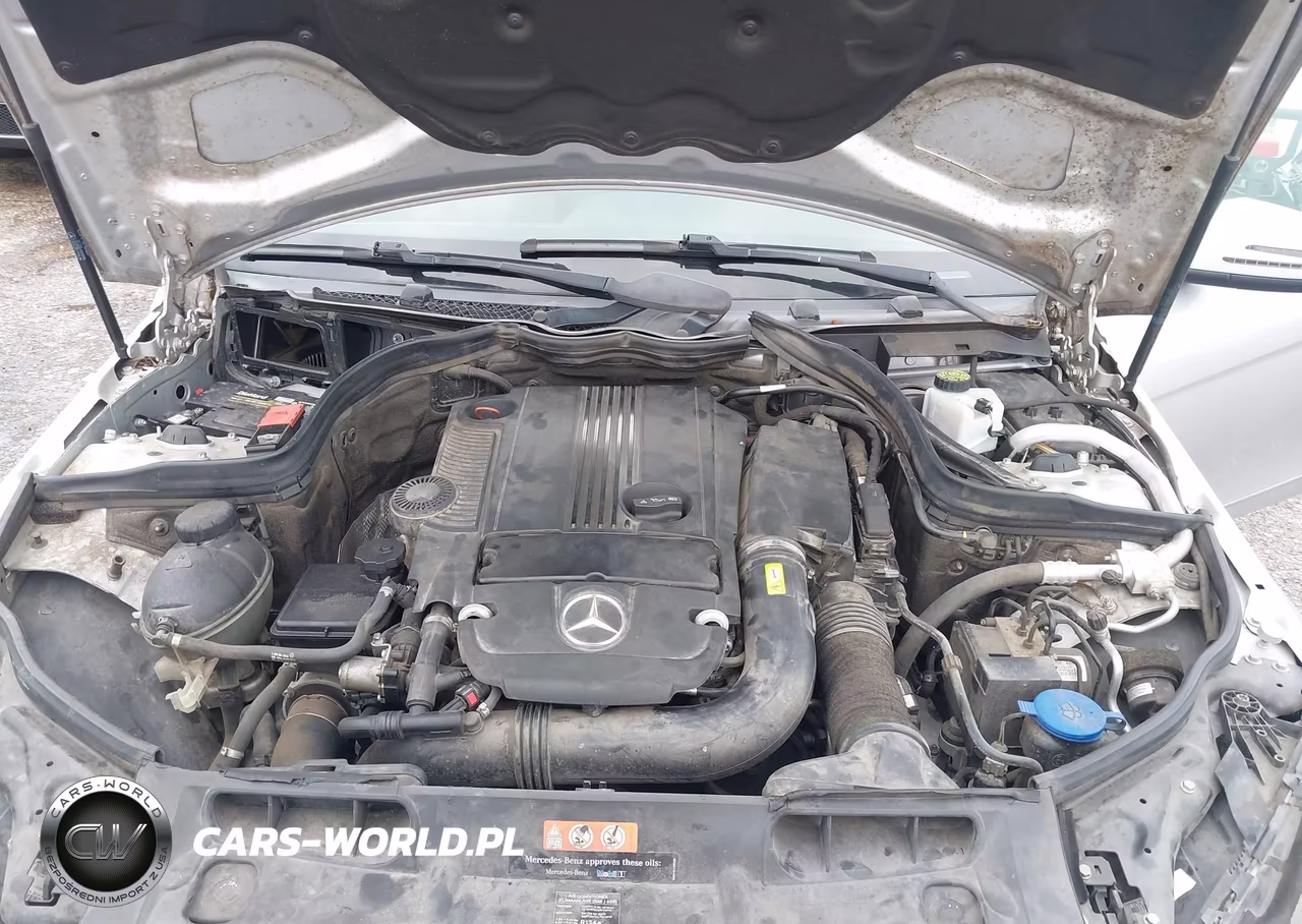 2014 Mercedes-Benz C 250 Luxury VIN:WDDGF4HB1EG250989 - 10