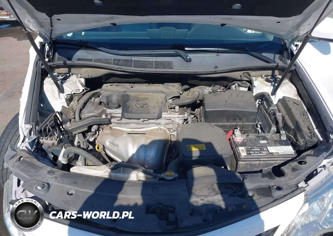 2014 Toyota Camry Se VIN:4T1BF1FK0EU790997 - 10