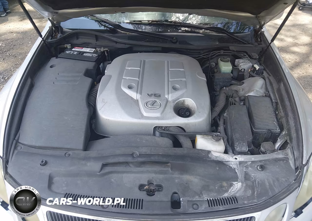 2006 Lexus Gs 300 VIN:JTHCH96S060006634 - 10