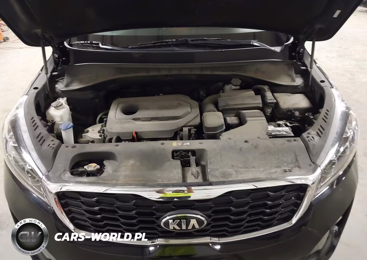 2019 Kia Sorento 2.4L L VIN:5XYPG4A35KG539317 - 10