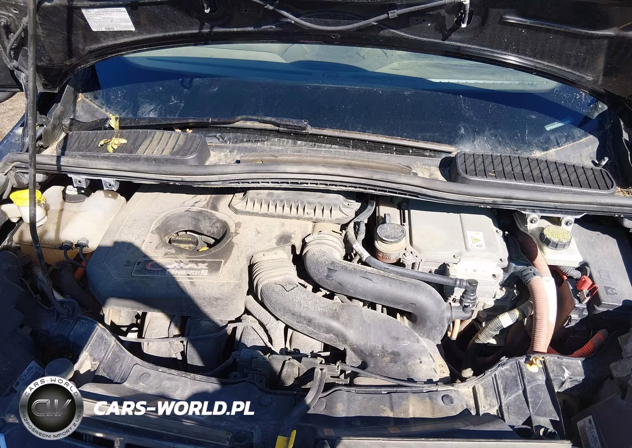 2013 Ford C-Max Energi Sel VIN:1FADP5CUXDL512318 - 10