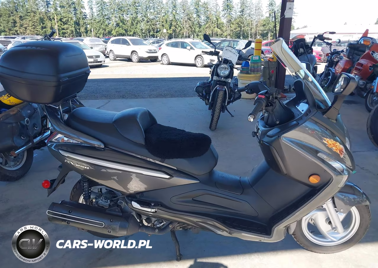2007 Sym Rv 250 VIN:RFGBS1TD07SLM0090 - 12