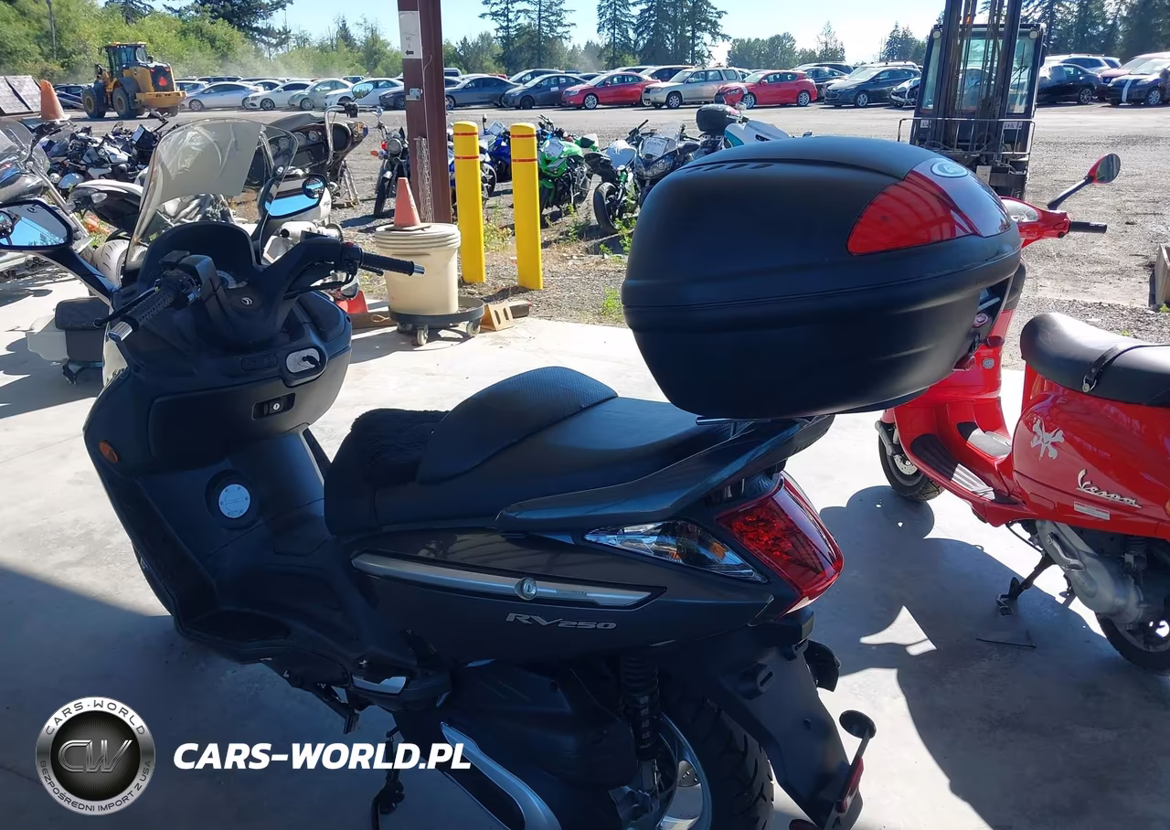 2007 Sym Rv 250 VIN:RFGBS1TD07SLM0090 - 3
