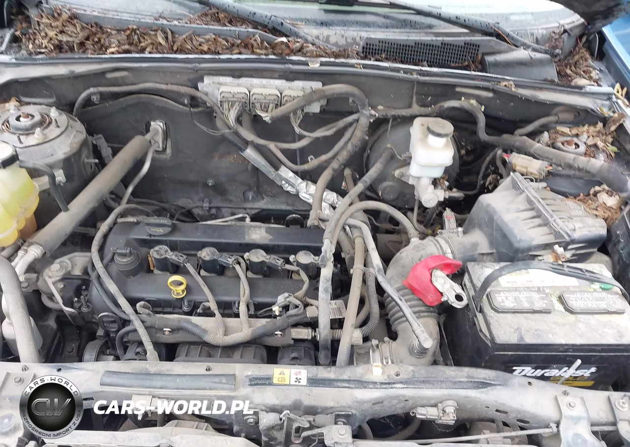 2009 Ford Escape Xlt VIN:1FMCU03789KA51365 - 10
