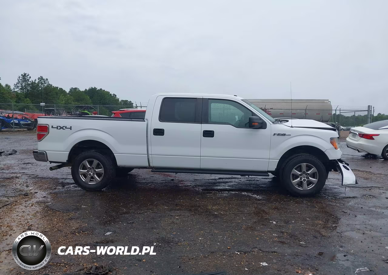 2014 Ford F-150 Xlt VIN:1FTFW1EF9EKG53384 - 13