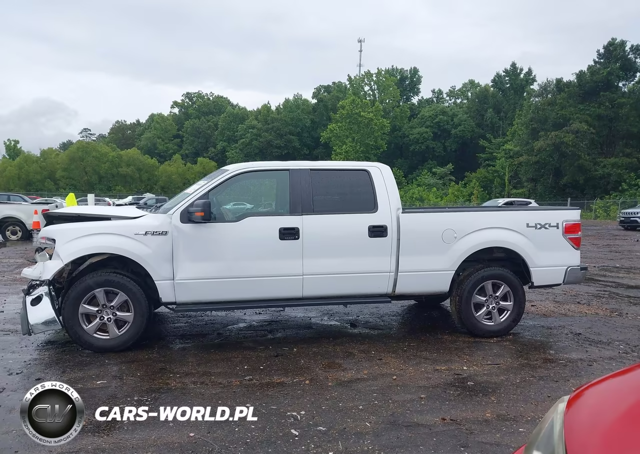 2014 Ford F-150 Xlt VIN:1FTFW1EF9EKG53384 - 14