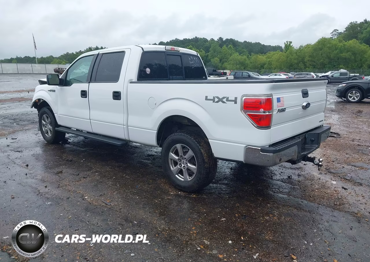2014 Ford F-150 Xlt VIN:1FTFW1EF9EKG53384 - 3