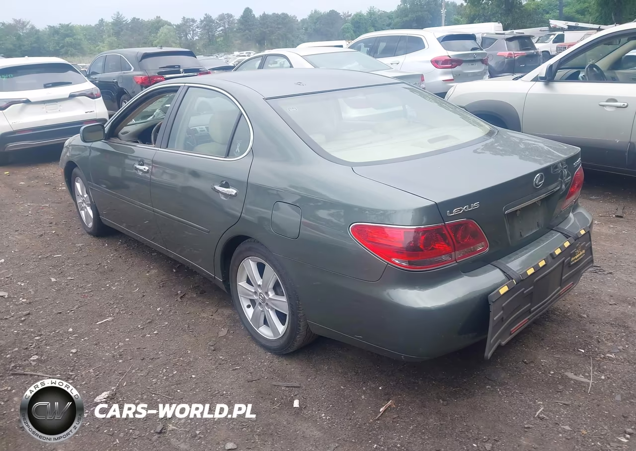 2006 Lexus Es 330 VIN:JTHBA30G265164042 - 3