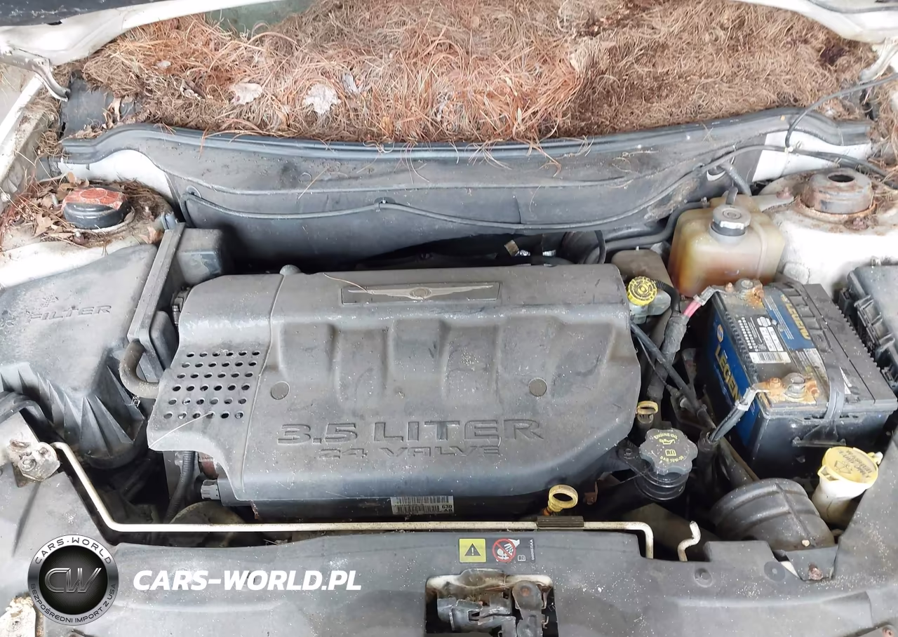 2006 Chrysler Pacifica Touring VIN:2A4GM68416R815121 - 10
