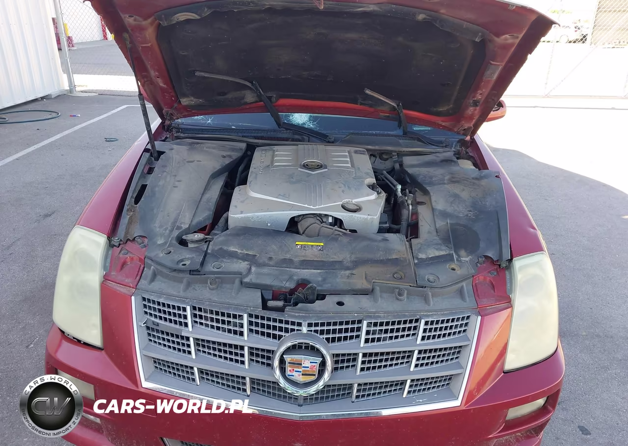 2010 Cadillac Sts Rwd W-1Sb VIN:1G6DU6EV5A0136223 - 10