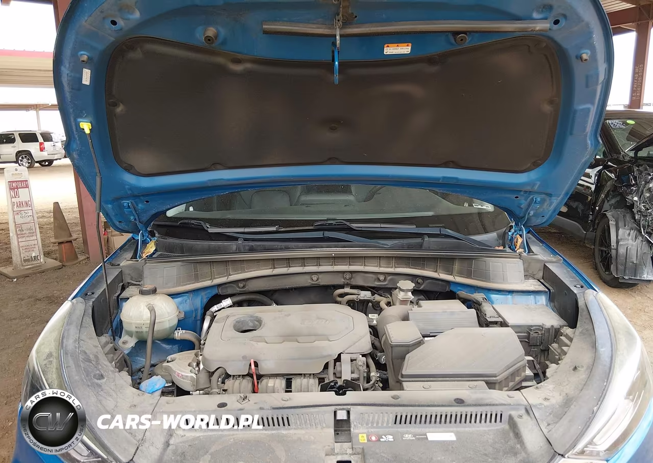 2019 Hyundai Tucson Limited VIN:KM8J33AL1KU976978 - 10