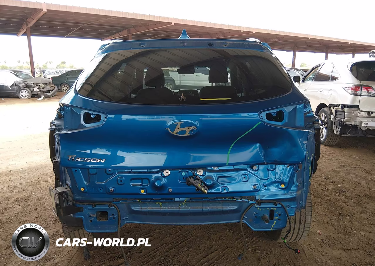 2019 Hyundai Tucson Limited VIN:KM8J33AL1KU976978 - 17