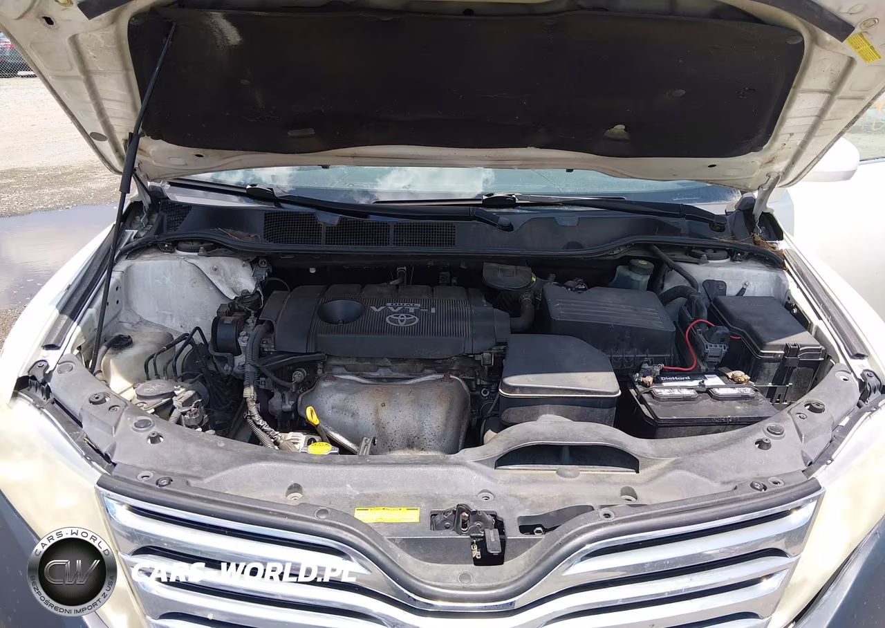 2009 Toyota Venza VIN:4T3BE11A39U001126 - 10