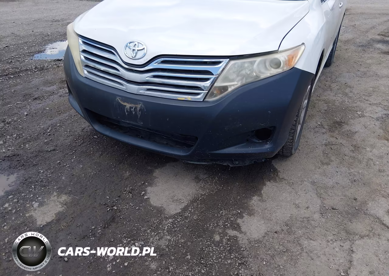 2009 Toyota Venza VIN:4T3BE11A39U001126 - 6