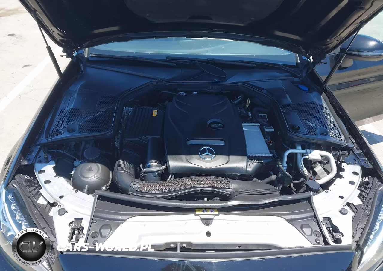 2017 Mercedes-Benz C 300 VIN:WDDWJ4JB8HF524803 - 10