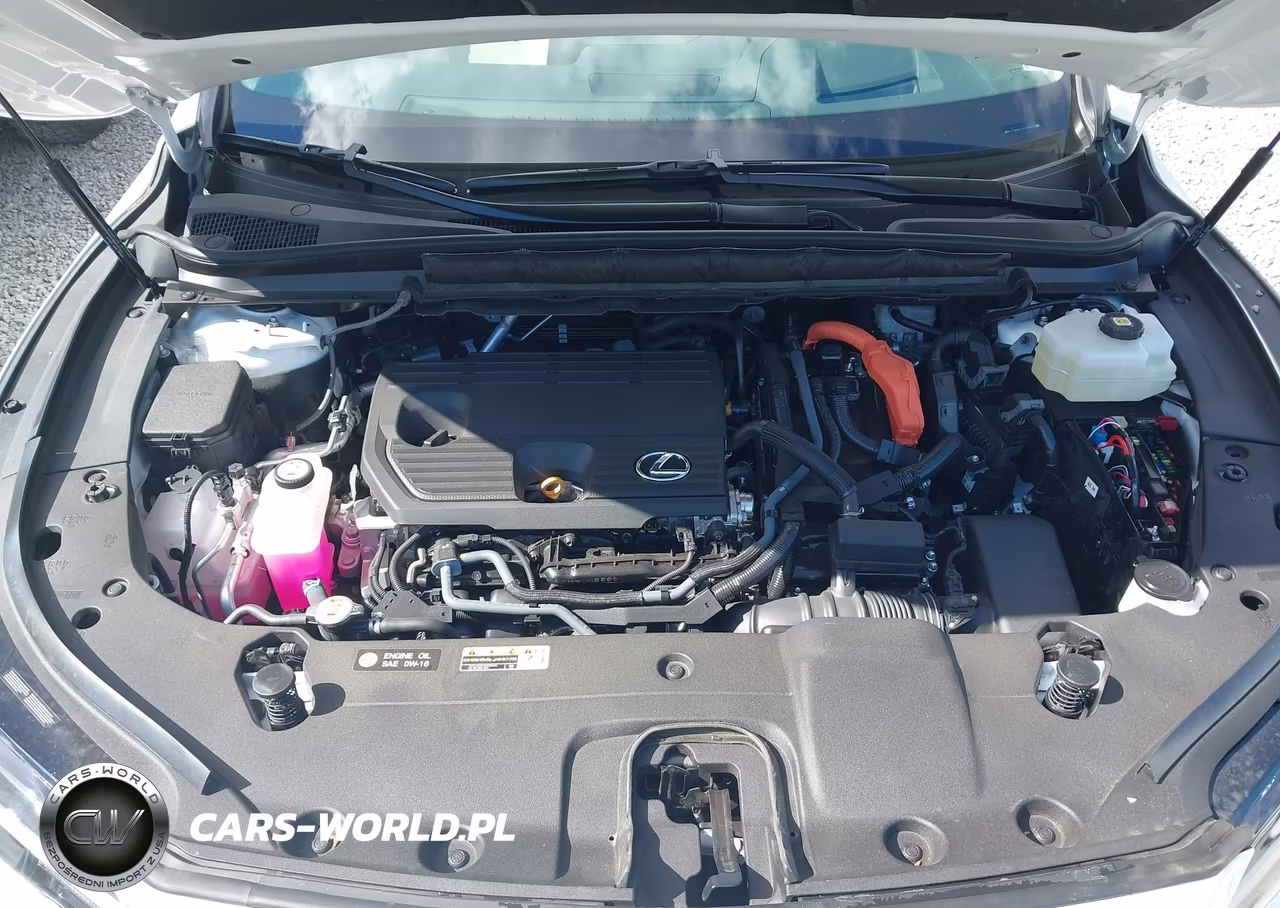 2026 Lexus Rx 350H Premium+ VIN:2T2BBMCA0TC108333 - 10