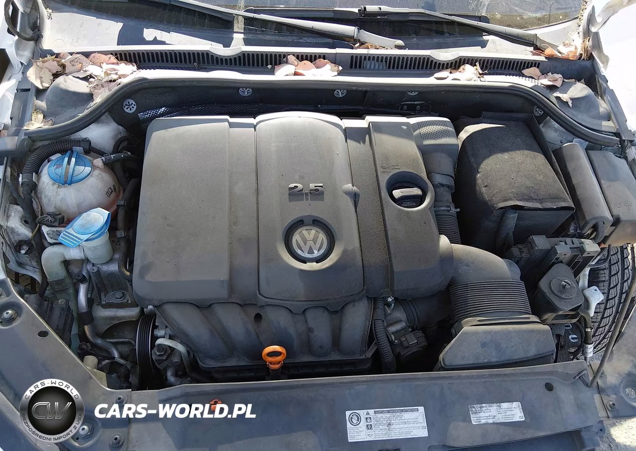 2012 Volkswagen Jetta 2.5L Sel Premium VIN:3VWLP7AJ5CM395056 - 10