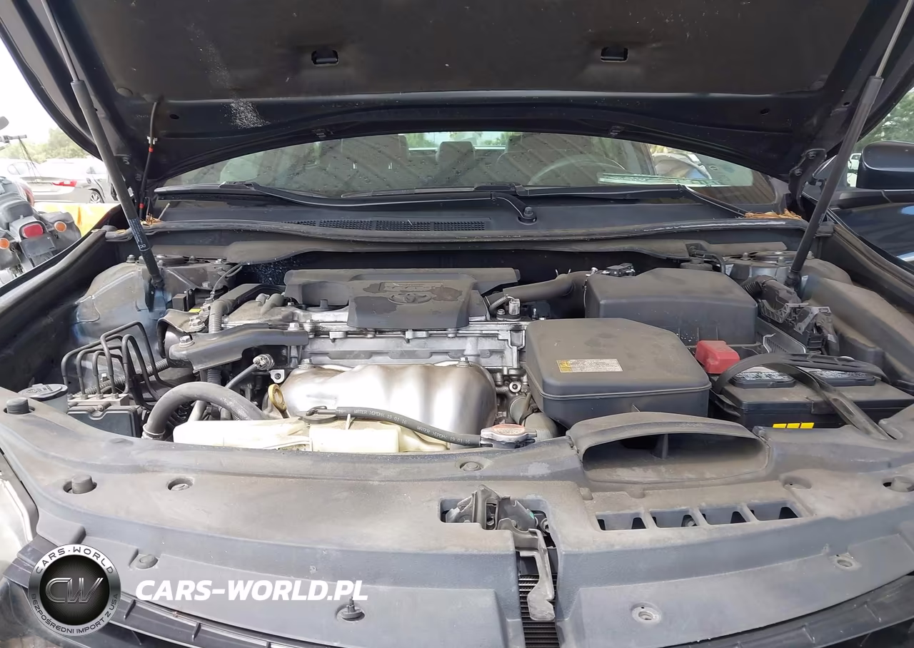 2016 Toyota Camry Se VIN:4T1BF1FK4GU256064 - 10