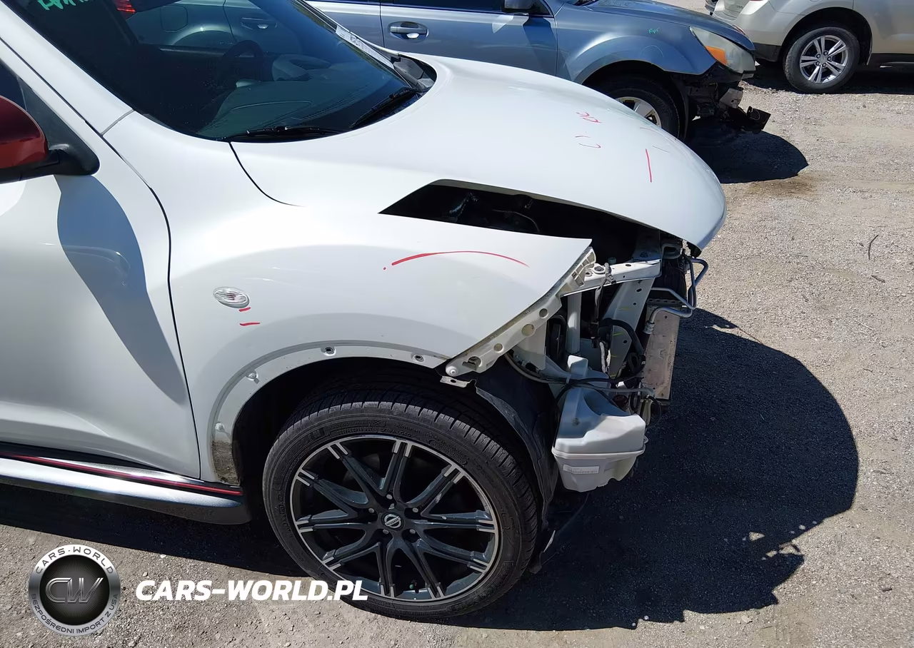 2014 Nissan Juke Nismo VIN:JN8AF5MV8ET364974 - 15