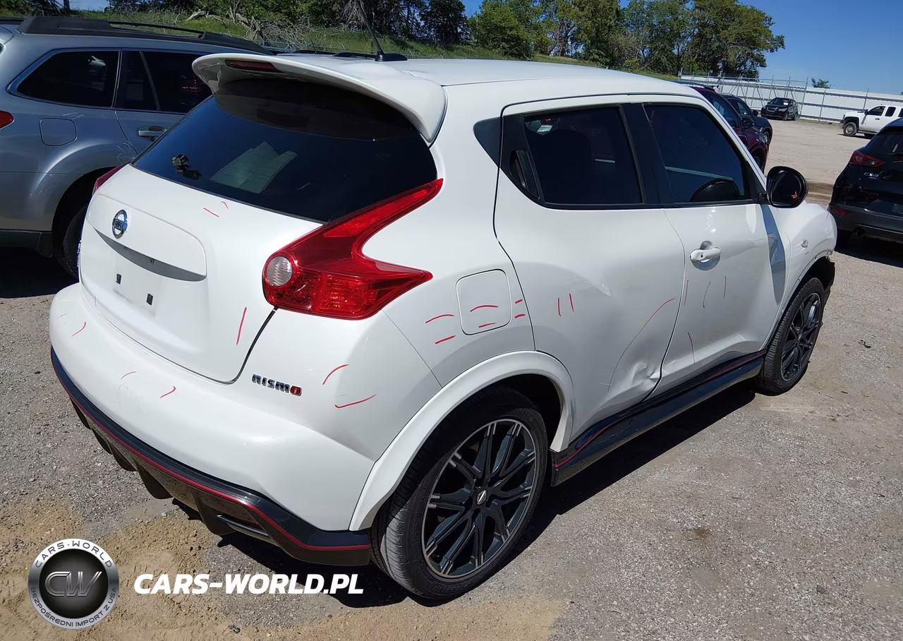 2014 Nissan Juke Nismo VIN:JN8AF5MV8ET364974 - 4