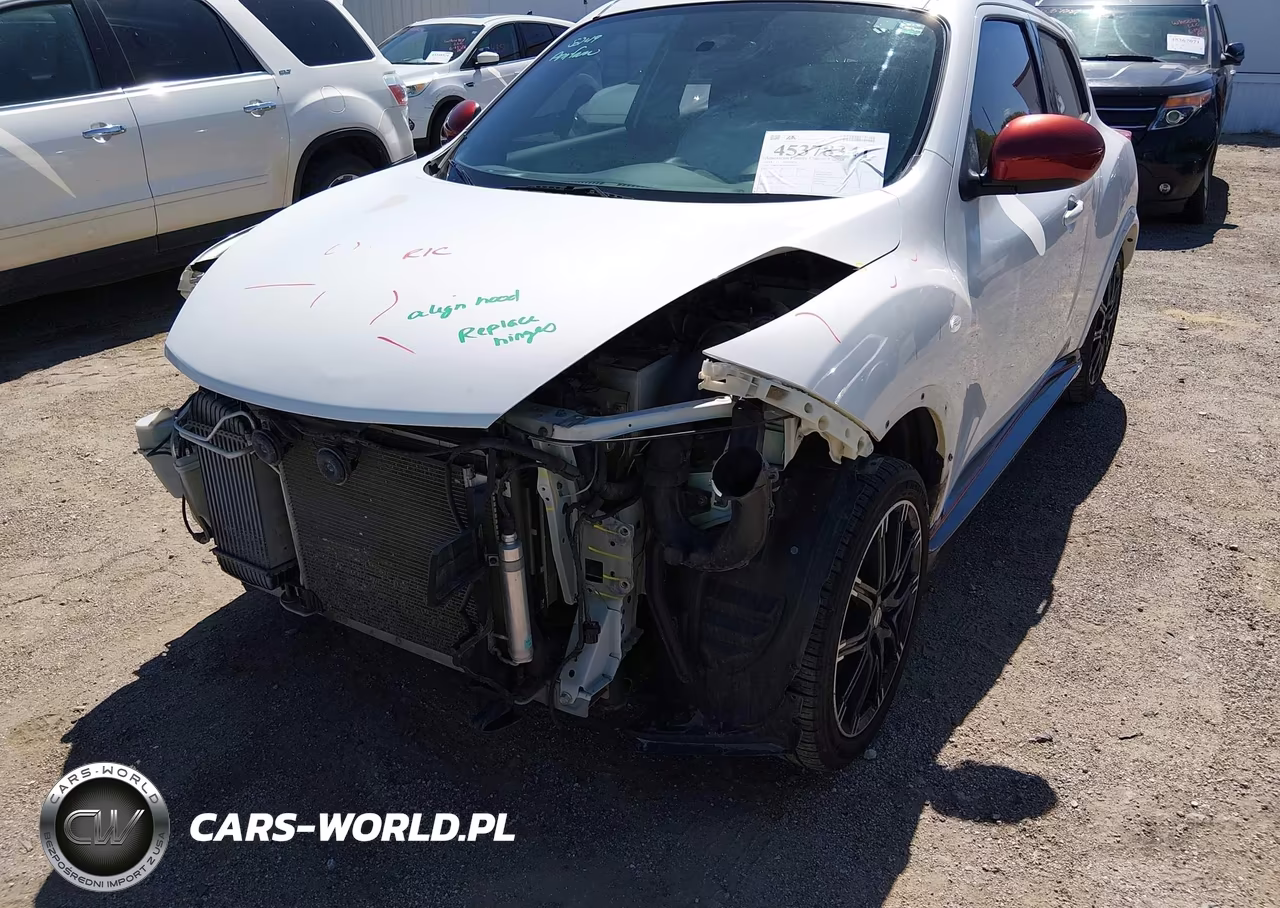 2014 Nissan Juke Nismo VIN:JN8AF5MV8ET364974 - 6