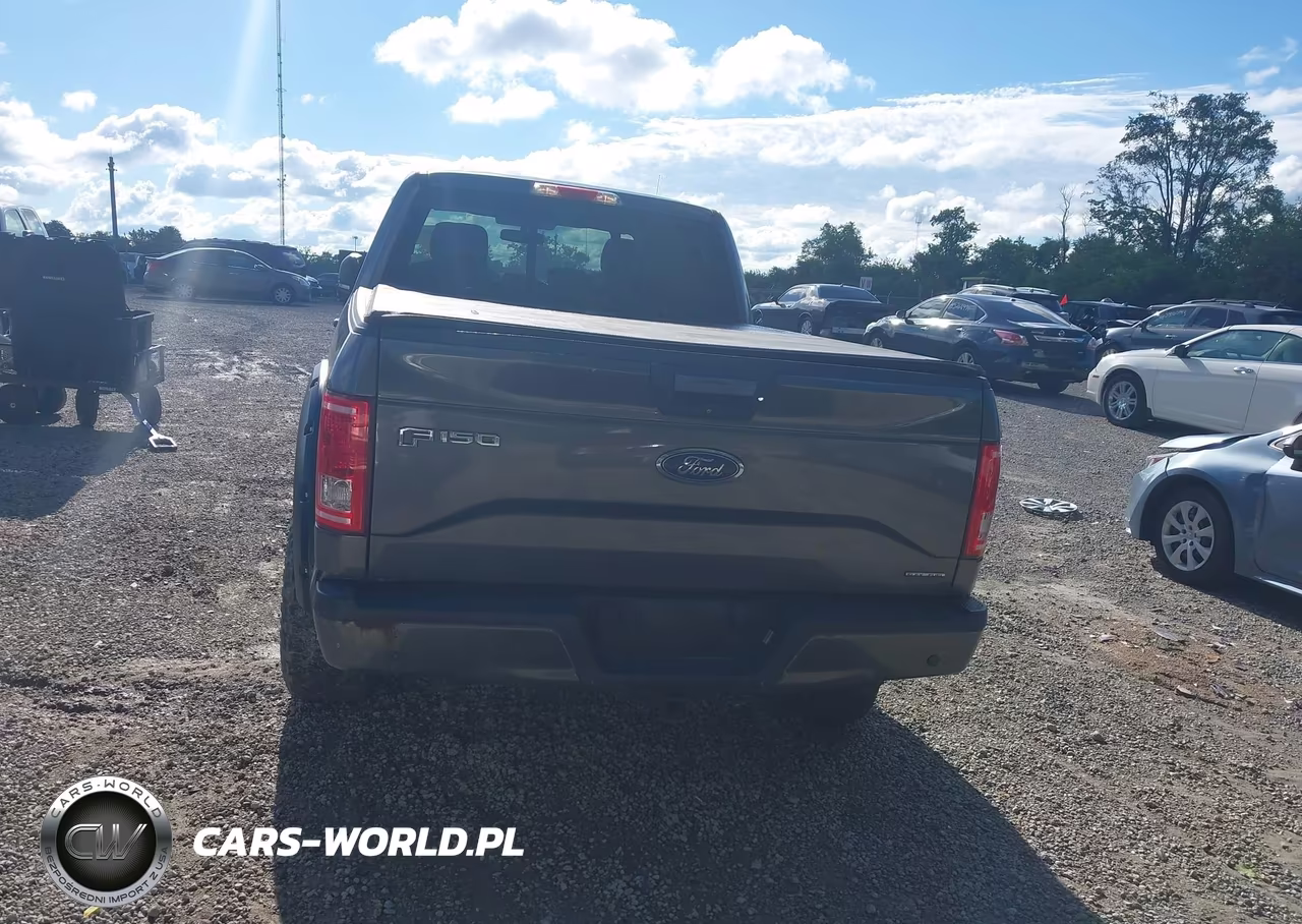 2016 Ford F-150 Xlt VIN:1FTFX1EF1GKE37027 - 16