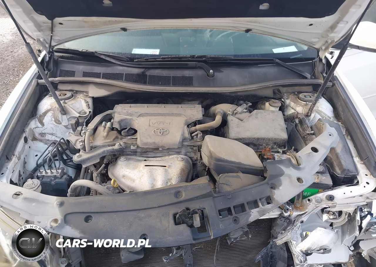 2014 Toyota Camry Se VIN:4T1BF1FK6EU741304 - 10