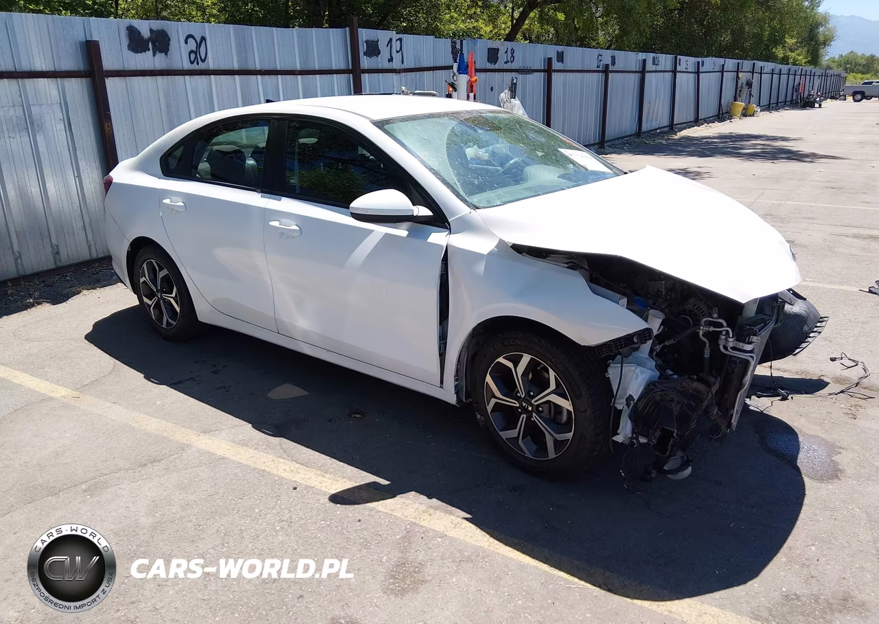 2019 Kia Forte Lxs – zdjęcie 1 z 17