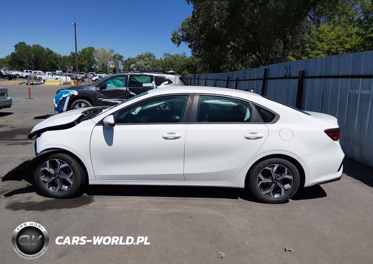 2019 Kia Forte Lxs VIN:3KPF24AD3KE115408 - 15