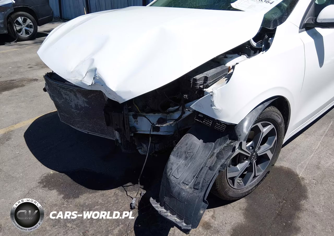 2019 Kia Forte Lxs VIN:3KPF24AD3KE115408 - 6