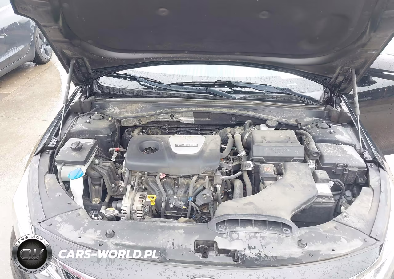 2019 Kia Optima Ex VIN:5XXGU4L13KG330800 - 10