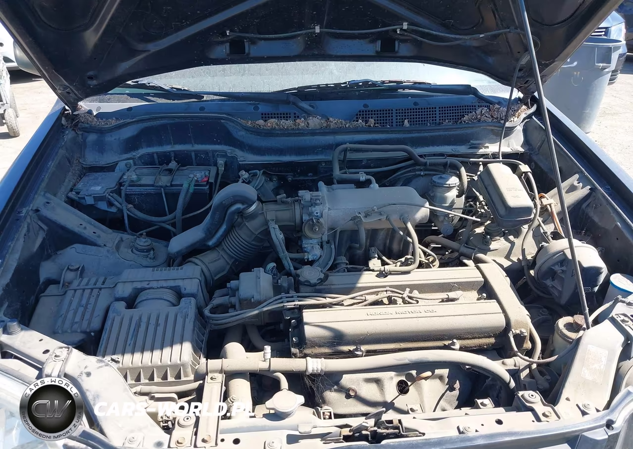 1998 Honda Cr-V Lx VIN:JHLRD2845WC013447 - 10