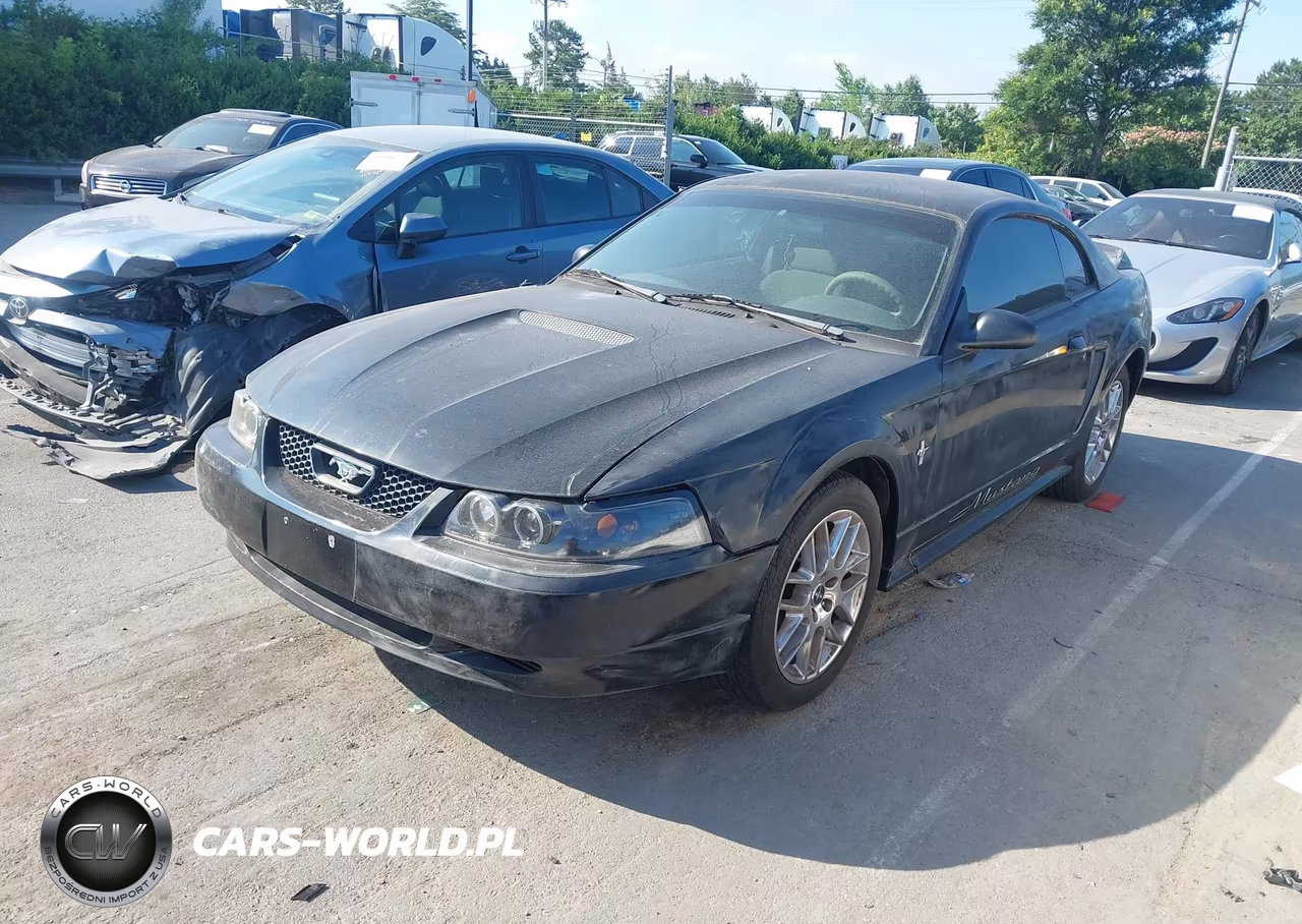 2000 Ford Mustang VIN:1FAFP4044YF142642 - 2
