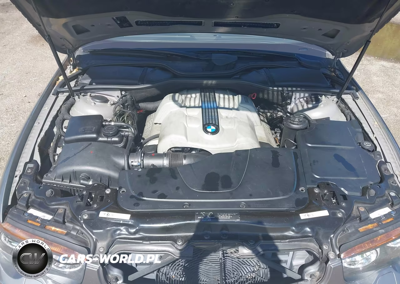 2003 BMW 745Li VIN:WBAGN63433DR12505 - 10
