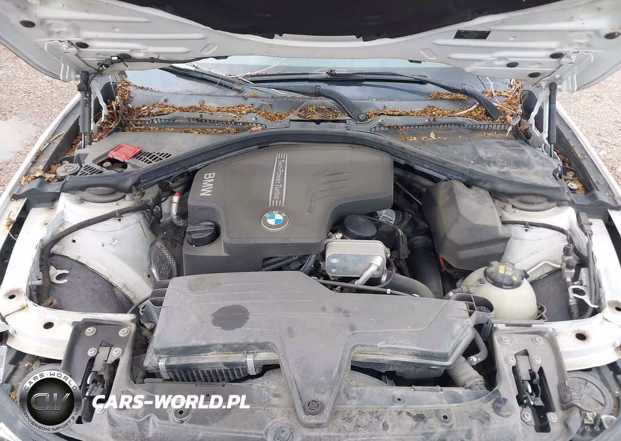 2014 BMW 320I VIN:WBA3B1G55ENT00199 - 10