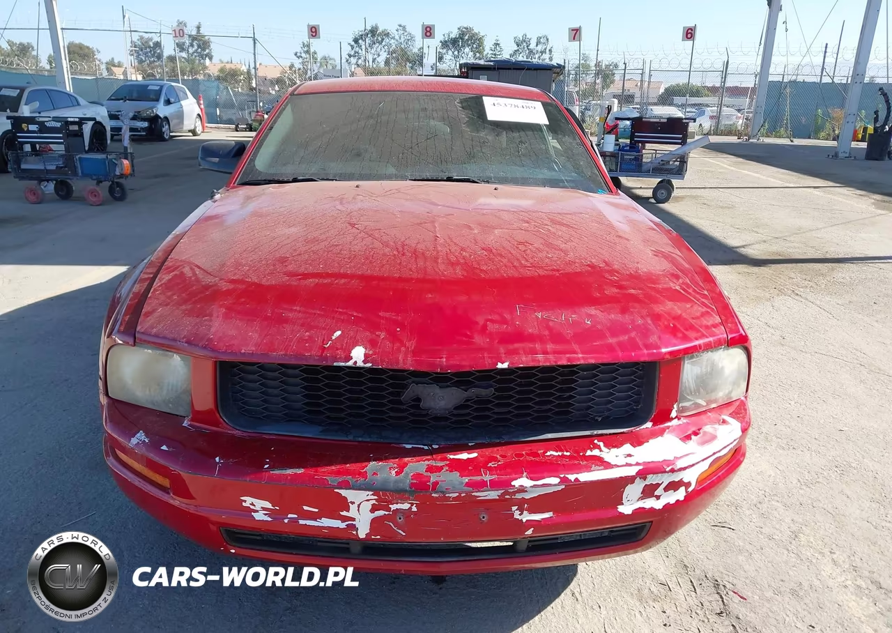 2008 Ford Mustang V6 Deluxe-V6 Premium VIN:1ZVHT80N085144941 - 13
