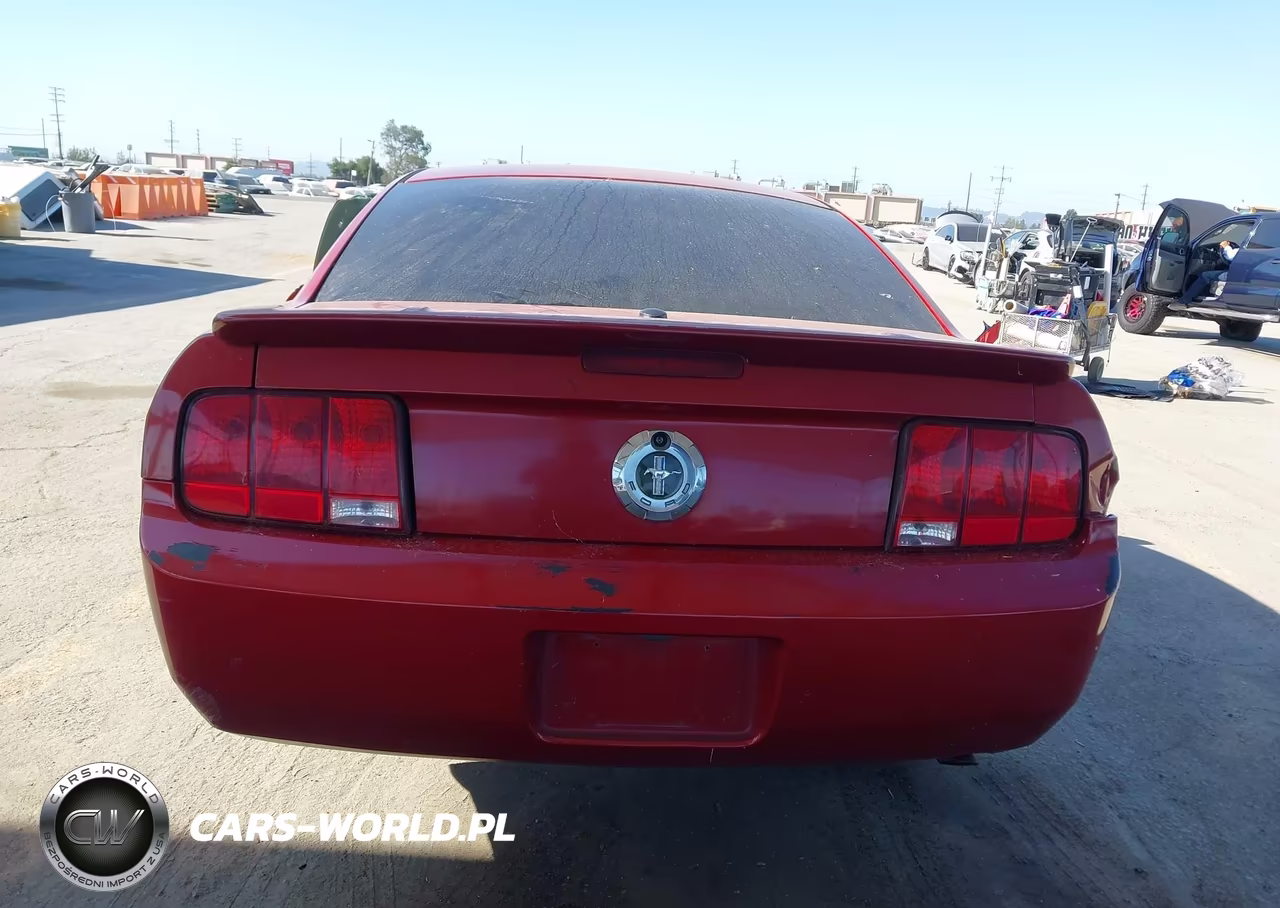 2008 Ford Mustang V6 Deluxe-V6 Premium VIN:1ZVHT80N085144941 - 17