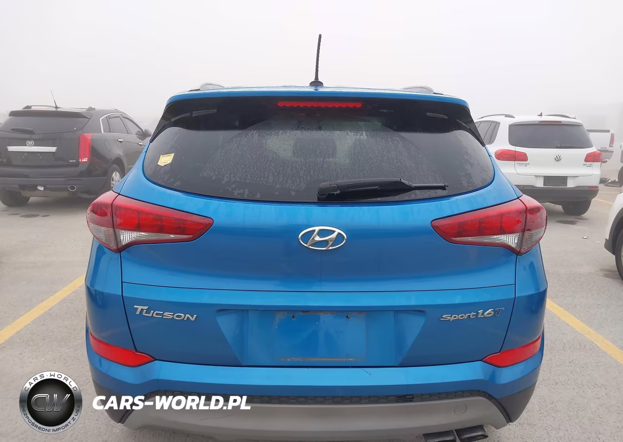 2017 Hyundai Tucson Sport VIN:KM8J33A21HU501945 - 16