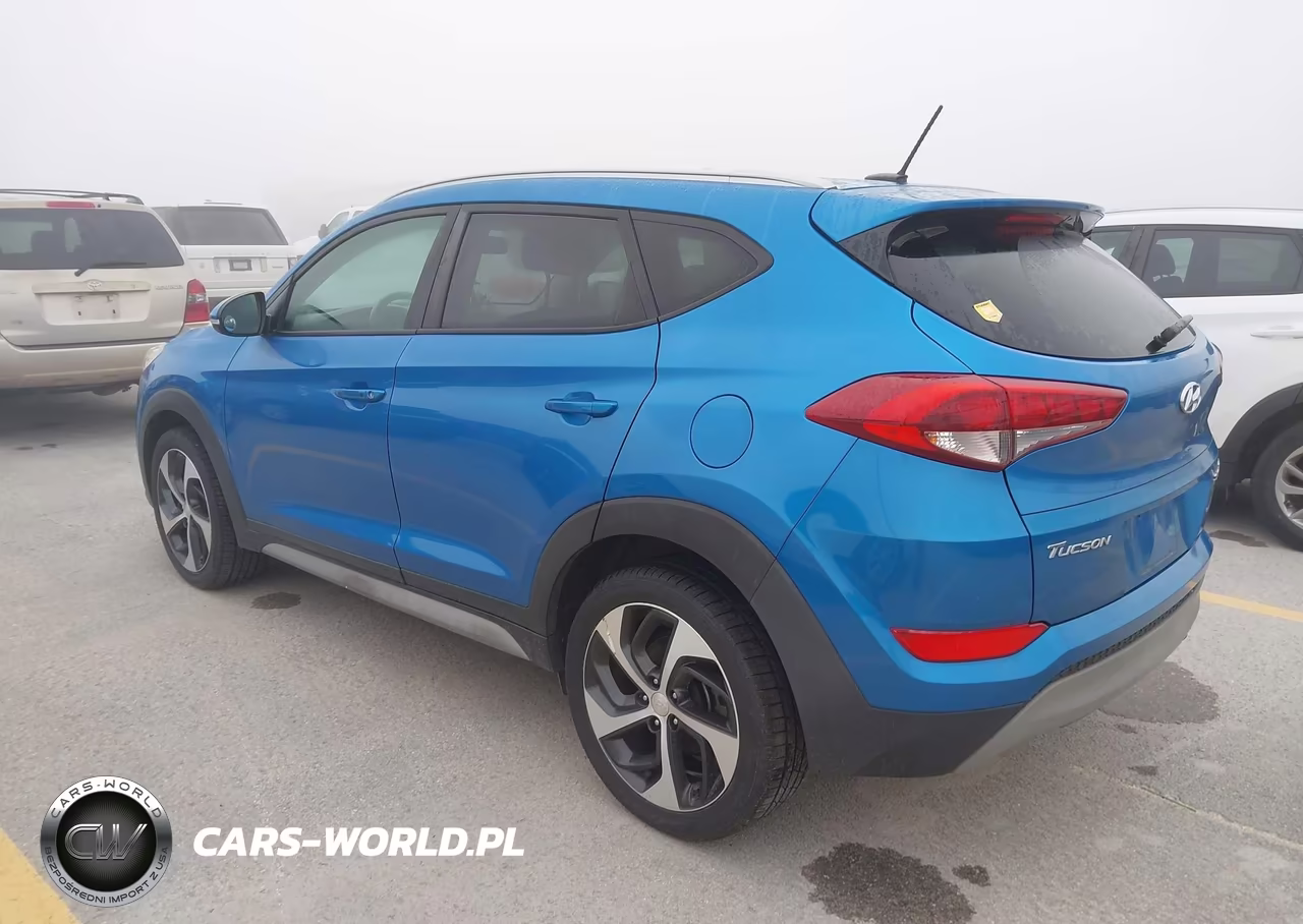 2017 Hyundai Tucson Sport VIN:KM8J33A21HU501945 - 3