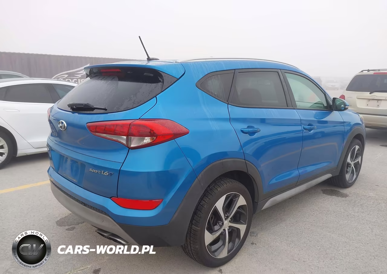 2017 Hyundai Tucson Sport VIN:KM8J33A21HU501945 - 4